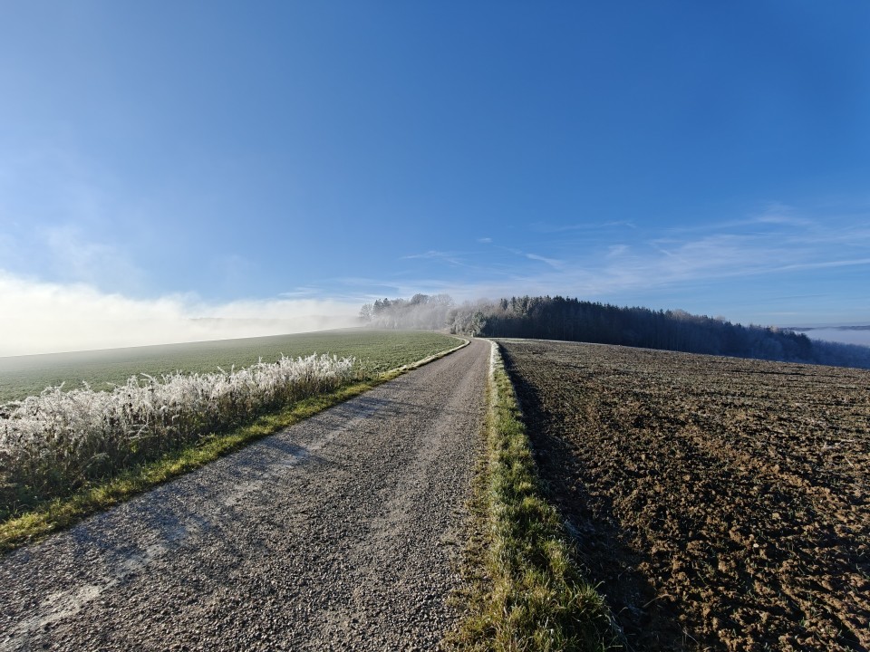 OnePlus 13 Kamera Ultrawide